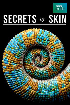 电视剧《皮肤的奥秘 第一季  Secrets of Skin》（2019英国）--高清4K/1080P迅雷BT资源下载