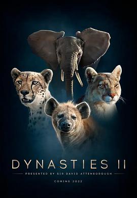 电视剧《王朝 第二季  Dynasties》（2022英国）--高清4K/1080P迅雷BT资源下载