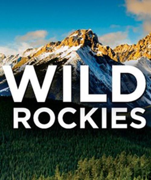 电视剧《野性落基山 第一季  Wild Rockies》（2016加拿大）--高清4K/1080P迅雷BT资源下载