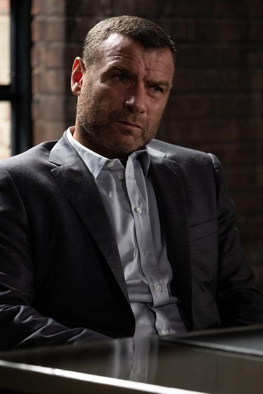 电视剧《清道夫 第七季  Ray Donovan》（2019美国）--高清4K/1080P迅雷BT资源下载