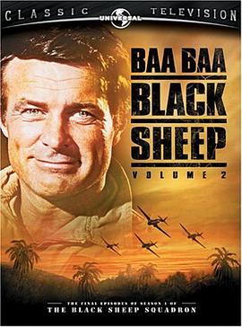 电视剧《黑绵羊飞行中队  Baa Baa Black Sheep》（1976美国）--高清4K/1080P迅雷BT资源下载