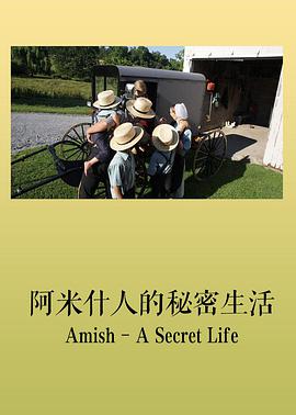 电视剧《阿米什：秘密的生活  Amish: A Secret Life》（2012英国）--高清4K/1080P迅雷BT资源下载