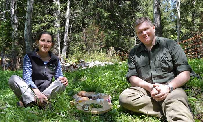 电视剧《野性法国  Wild France with Ray Mears》（2016英国）--高清4K/1080P迅雷BT资源下载