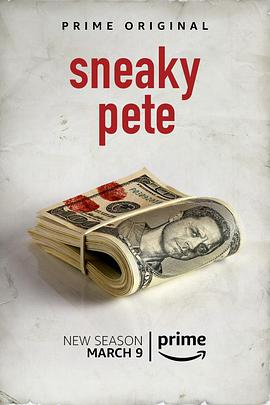 电视剧《诈欺担保人 第二季  Sneaky Pete》（2018美国）--高清4K/1080P迅雷BT资源下载