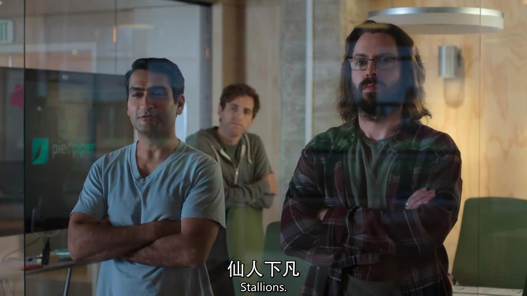 电视剧《硅谷 第五季  Silicon Valley》（2018美国）--高清4K/1080P迅雷BT资源下载