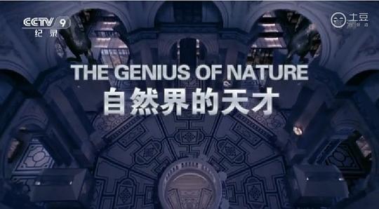 电视剧《大自然的奇迹  Richard Hammond's Miracles of Nature》（2012英国）--高清4K/1080P迅雷BT资源下载