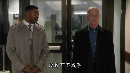 电视剧《海军罪案调查处 第十四季  NCIS: Naval Criminal Investigative Service》（2016美国）--高清4K/1080P迅雷BT资源下载