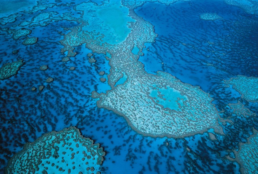 电视剧《大堡礁  Great Barrier Reef》（2012英国）--高清4K/1080P迅雷BT资源下载