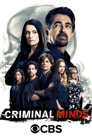 电视剧《犯罪心理 第十二季  Criminal Minds》（2016美国）--高清4K/1080P迅雷BT资源下载