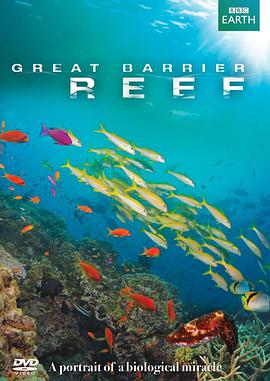 电视剧《大堡礁  Great Barrier Reef》（2012英国）--高清4K/1080P迅雷BT资源下载