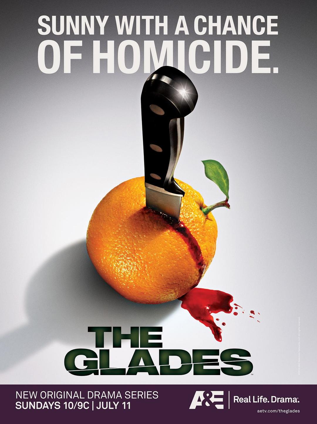 电视剧《血迷棕榈 第一季  The Glades》（2010美国）--高清4K/1080P迅雷BT资源下载