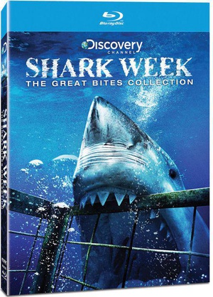 电视剧《鲨鱼周  Shark Week》（1987美国）--高清4K/1080P迅雷BT资源下载