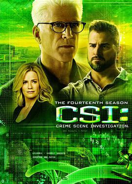 电视剧《犯罪现场调查 第十四季  CSI: Crime Scene Investigation》（2013美国）--高清4K/1080P迅雷BT资源下载