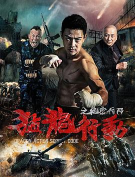 电影《猛龙行动之绝密代码》（2019中国大陆）--高清4K/1080P迅雷BT资源下载