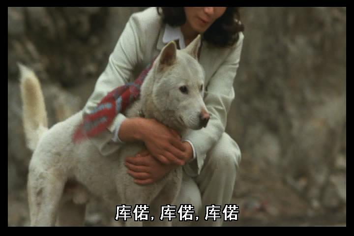 电影《黄金之犬  黄金の犬》（1979日本）--高清4K/1080P迅雷BT资源下载