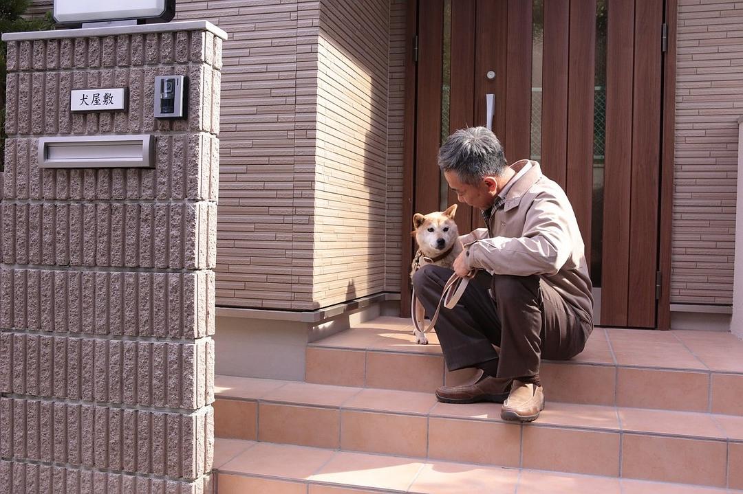 电影《犬屋敷 真人版  いぬやしき》（2018日本）--高清4K/1080P迅雷BT资源下载