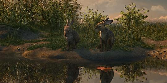 动漫剧《兔子共和国  Watership Down》（2018爱尔兰 / 英国 / 美国）--高清4K/1080P迅雷BT资源下载