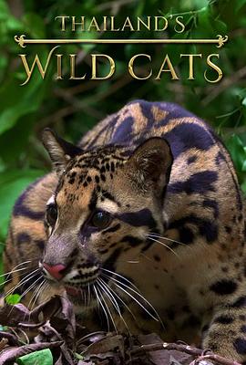 纪录片《泰国野生猫科  Thailand's Wild Cats》（2021南非）--高清4K/1080P迅雷BT资源下载