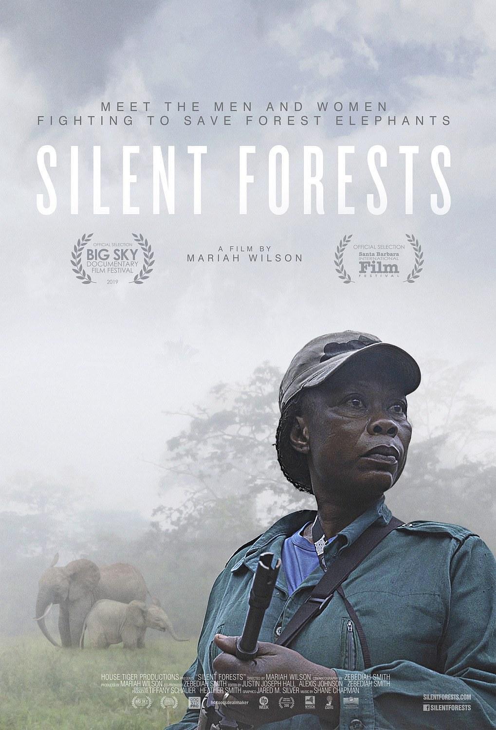 纪录片《寂静的森林  Silent Forests》（2019美国 / 喀麦隆 / 刚果(布)）--高清4K/1080P迅雷BT资源下载