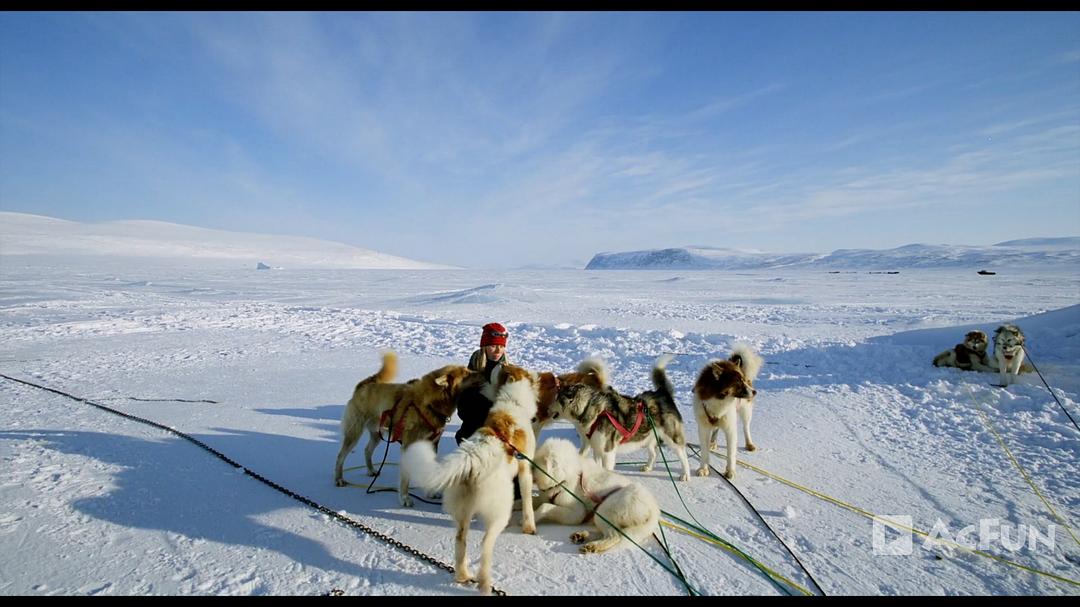 纪录片《北极奇观  Wonders of the Arctic》（2014加拿大）--高清4K/1080P迅雷BT资源下载