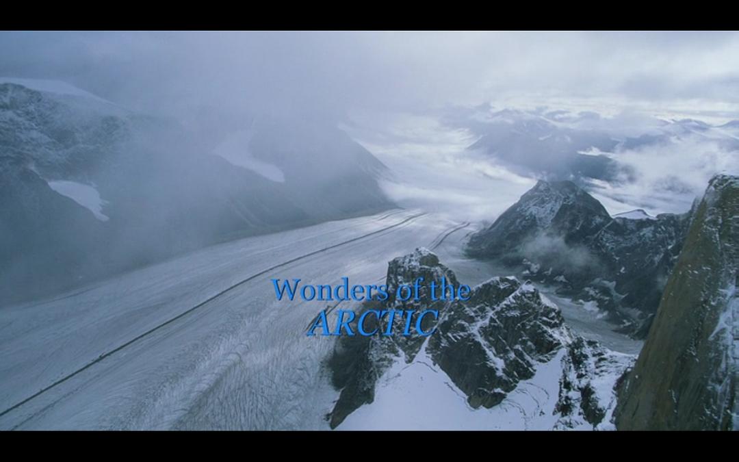 纪录片《北极奇观  Wonders of the Arctic》（2014加拿大）--高清4K/1080P迅雷BT资源下载