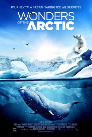 纪录片《北极奇观  Wonders of the Arctic》（2014加拿大）--高清4K/1080P迅雷BT资源下载