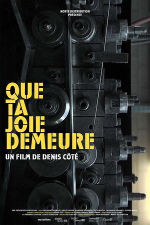 纪录片《机器造人  Que ta joie demeure》（2014加拿大）--高清4K/1080P迅雷BT资源下载