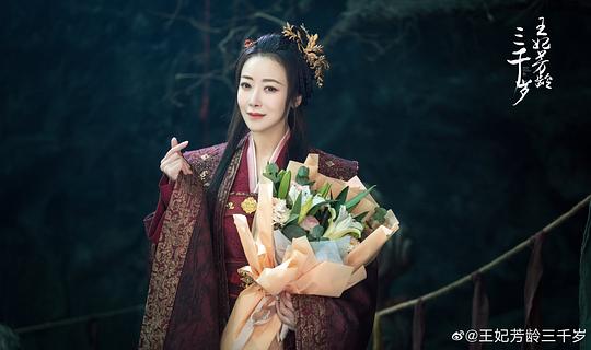 电视剧《王妃芳龄三千岁》（2024中国大陆）--高清4K/1080P迅雷BT资源下载