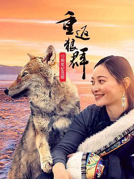 电视剧《重返狼群——10周年纪念版》（2021中国大陆）--高清4K/1080P迅雷BT资源下载