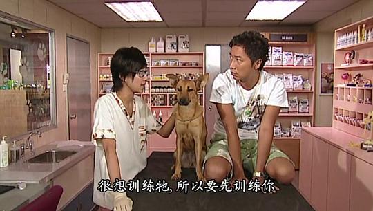 电视剧《老友狗狗》（2009中国香港）--高清4K/1080P迅雷BT资源下载