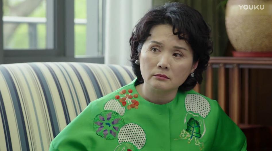 电视剧《继承人》（2017中国大陆）--高清4K/1080P迅雷BT资源下载