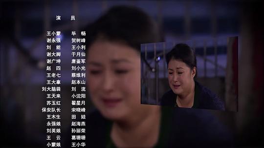 电视剧《乡村爱情圆舞曲》（2014中国大陆）--高清4K/1080P迅雷BT资源下载