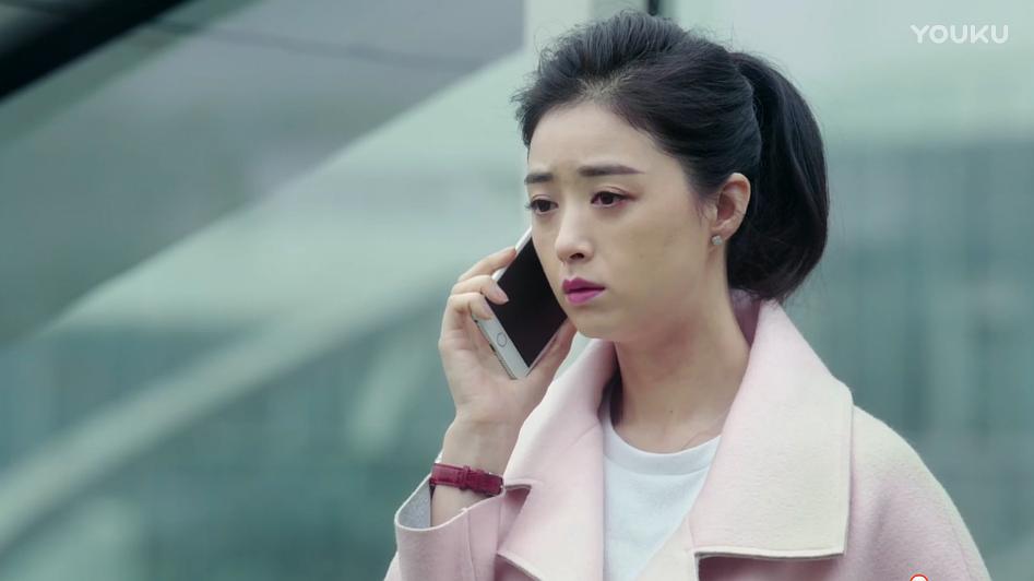 电视剧《继承人》（2017中国大陆）--高清4K/1080P迅雷BT资源下载