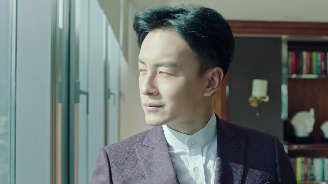 电视剧《合伙人》（2018中国大陆）--高清4K/1080P迅雷BT资源下载