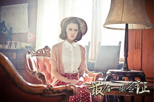 电视剧《最后一张签证》（2017中国大陆）--高清4K/1080P迅雷BT资源下载