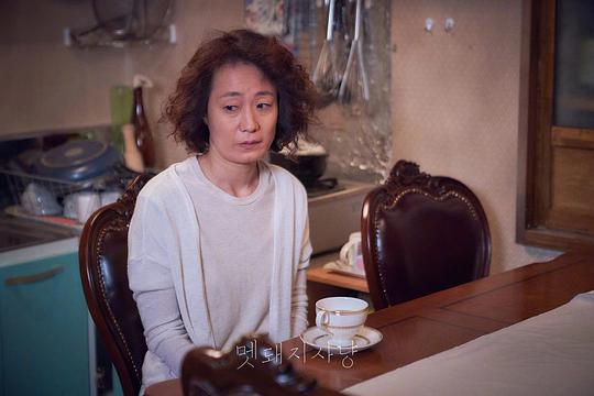 电视剧《野猪狩猎  멧돼지사냥》（2022韩国）--高清4K/1080P迅雷BT资源下载