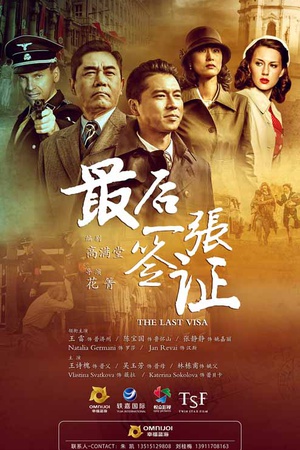 电视剧《最后一张签证》（2017中国大陆）--高清4K/1080P迅雷BT资源下载