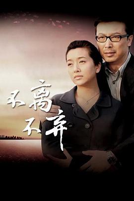 电视剧《不离不弃》（2009中国大陆）--高清4K/1080P迅雷BT资源下载