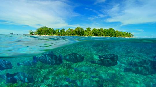 电视剧《地球壮观河流之旅 第二季  Earth's Great Rivers》（2022英国）--高清4K/1080P迅雷BT资源下载