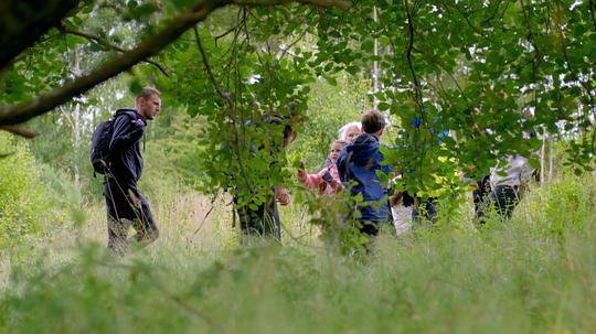 电视剧《野性英国  wild britain》（2018英国）--高清4K/1080P迅雷BT资源下载