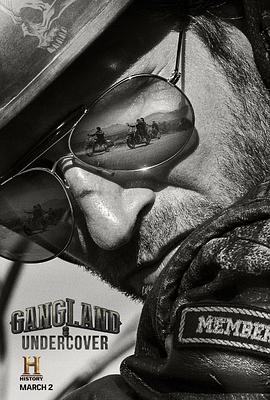 电视剧《黑帮卧底 第二季  Gangland Undercover》（2016加拿大 / 美国）--高清4K/1080P迅雷BT资源下载