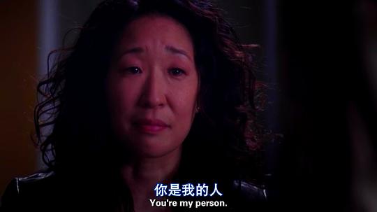 电视剧《实习医生格蕾 第十季  Grey's Anatomy》（2013美国）--高清4K/1080P迅雷BT资源下载