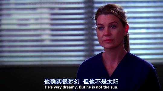 电视剧《实习医生格蕾 第十季  Grey's Anatomy》（2013美国）--高清4K/1080P迅雷BT资源下载