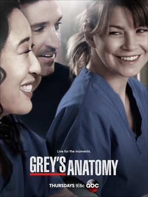 电视剧《实习医生格蕾 第十季  Grey's Anatomy》（2013美国）--高清4K/1080P迅雷BT资源下载