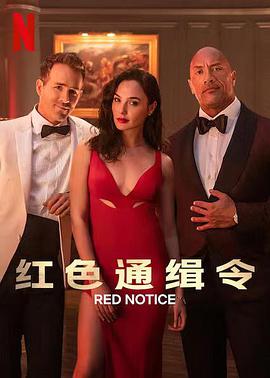 电影《红色通缉令  Red Notice》（2021美国）--高清4K/1080P迅雷BT资源下载