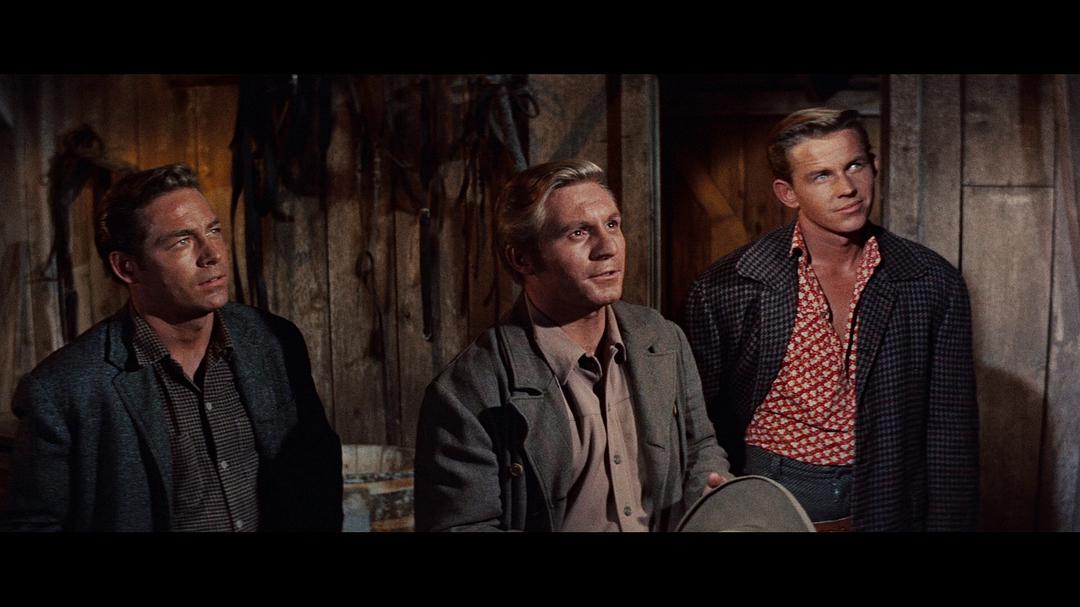 电影《杰西·詹姆斯的真实故事  The True Story of Jesse James》（1957美国）--高清4K/1080P迅雷BT资源下载