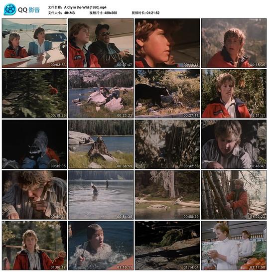 电影《荒野的哭声  A Cry in the Wild》（1990美国）--高清4K/1080P迅雷BT资源下载