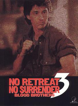 电影《生死两兄弟  No Retreat, No Surrender 3: Blood Brothers》（1990中国香港）--高清4K/1080P迅雷BT资源下载