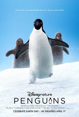 纪录片《企鹅  Penguins》（2019美国）--高清4K/1080P迅雷BT资源下载