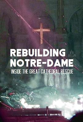 纪录片《古教堂大救援：争分夺秒拯救巴黎圣母院  Rebuilding Notre Dame: Inside the Great Cathedral Rescue》（2020英国）--高清4K/1080P迅雷BT资源下载